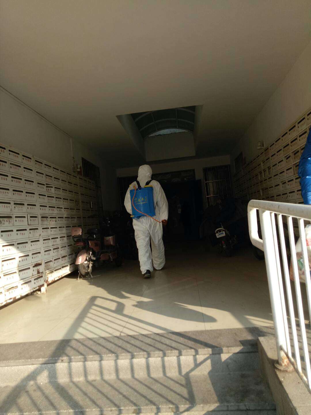 mmexport1580541188840.jpg